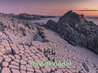 Davidhmodel