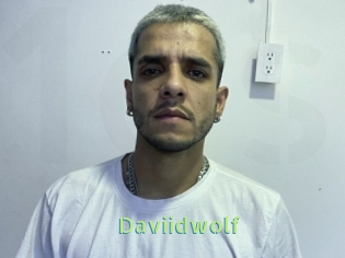 Daviidwolf