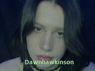 Dawnhawkinson