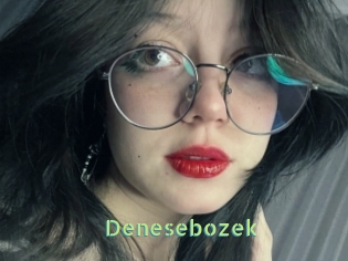 Denesebozek