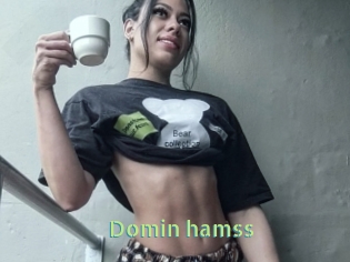 Domin_hamss