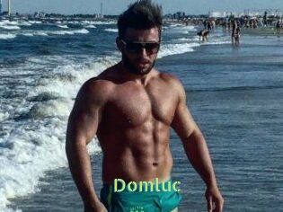 Domluc