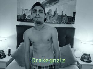 Drakegnzlz