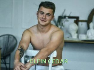 ELFIN_CEDAR