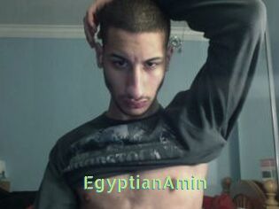 EgyptianAmin