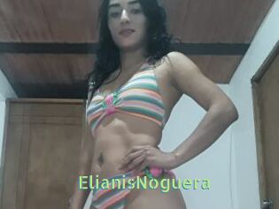 ElianisNoguera