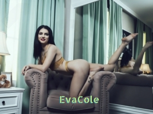 EvaCole