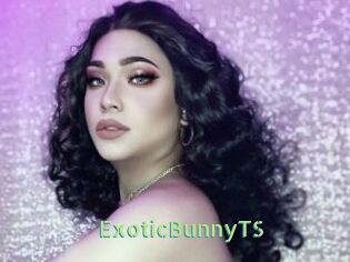 ExoticBunnyTS