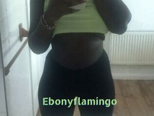 Ebony_flamingo