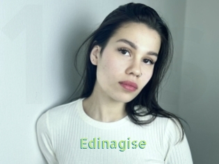 Edinagise