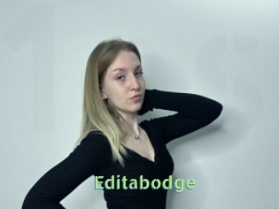 Editabodge