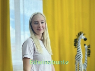 Edwinabunte