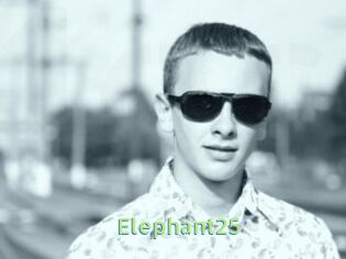 Elephant25