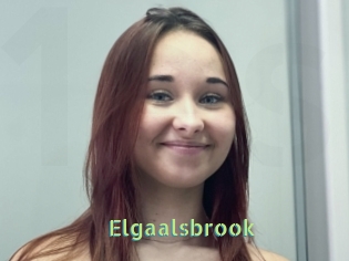 Elgaalsbrook