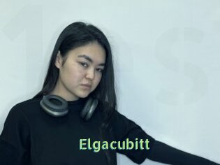 Elgacubitt