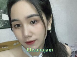 Elisanajam