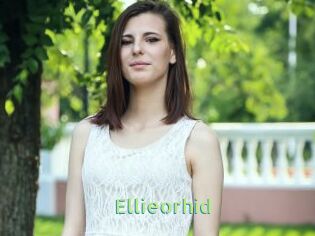 Ellieorhid