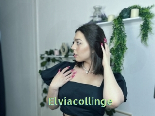 Elviacollinge