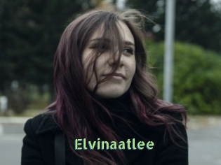 Elvinaatlee
