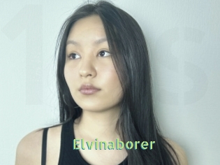 Elvinaborer