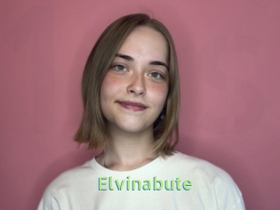 Elvinabute