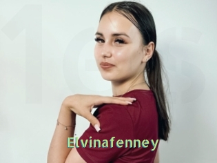 Elvinafenney