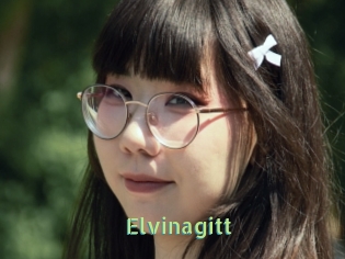 Elvinagitt