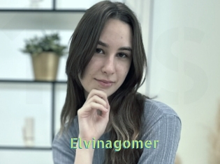 Elvinagomer