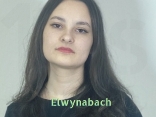 Elwynabach