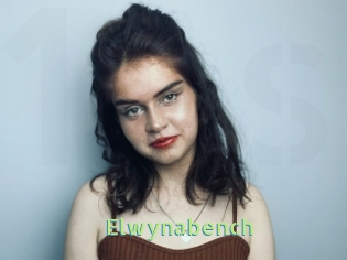 Elwynabench