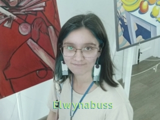 Elwynabuss