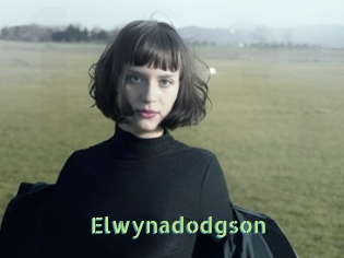 Elwynadodgson
