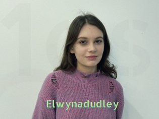 Elwynadudley