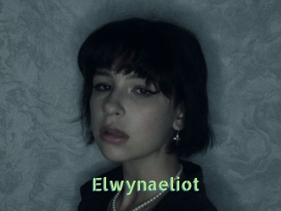 Elwynaeliot