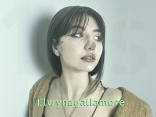 Elwynagallamore