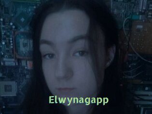 Elwynagapp