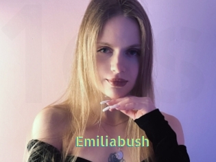 Emiliabush