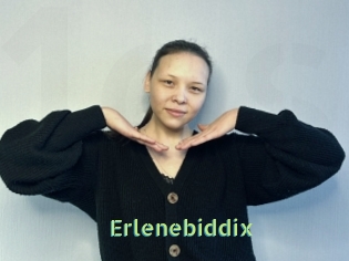 Erlenebiddix
