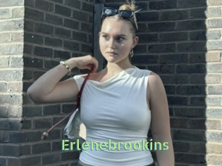 Erlenebrookins