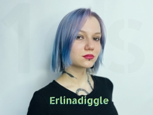 Erlinadiggle