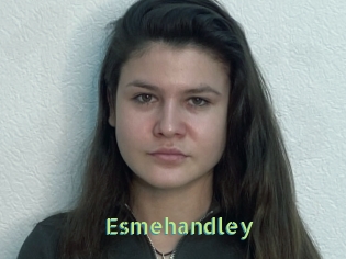 Esmehandley