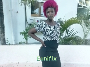 Eunifix