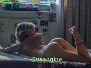 Evaangine