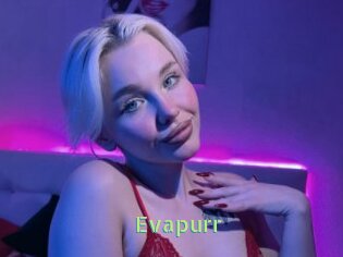 Evapurr
