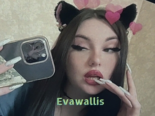 Evawallis