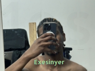 Exesinyer