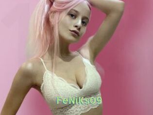 FeNiKs09