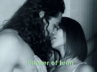 Flower_of_leon