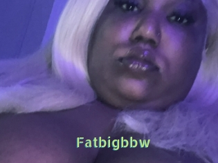 Fatbigbbw
