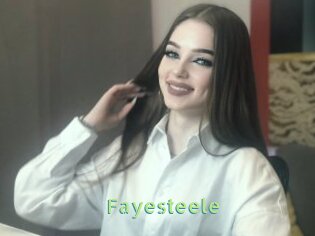 Fayesteele